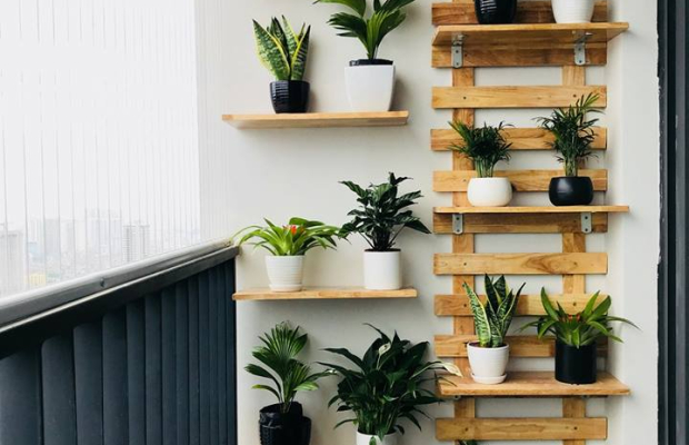 Mẫu kệ gỗ decor ban công đẹp