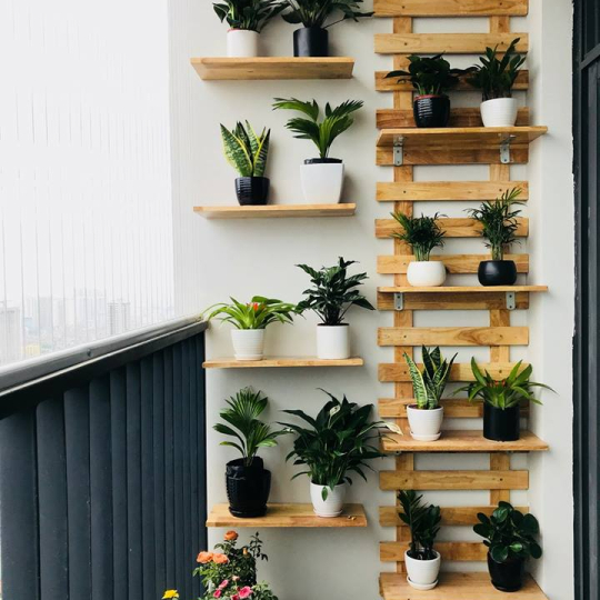 Mẫu kệ gỗ decor ban công đẹp